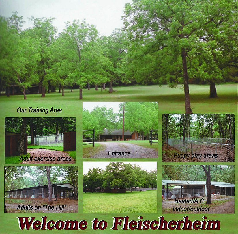 Fleischerheim Dog Kennel and House for sale including 10 acres near Savoy Texas