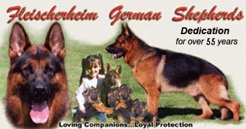 Dediction to German Shepherd Breeding and Importing since 1964