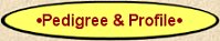 GSD Pedigree Label