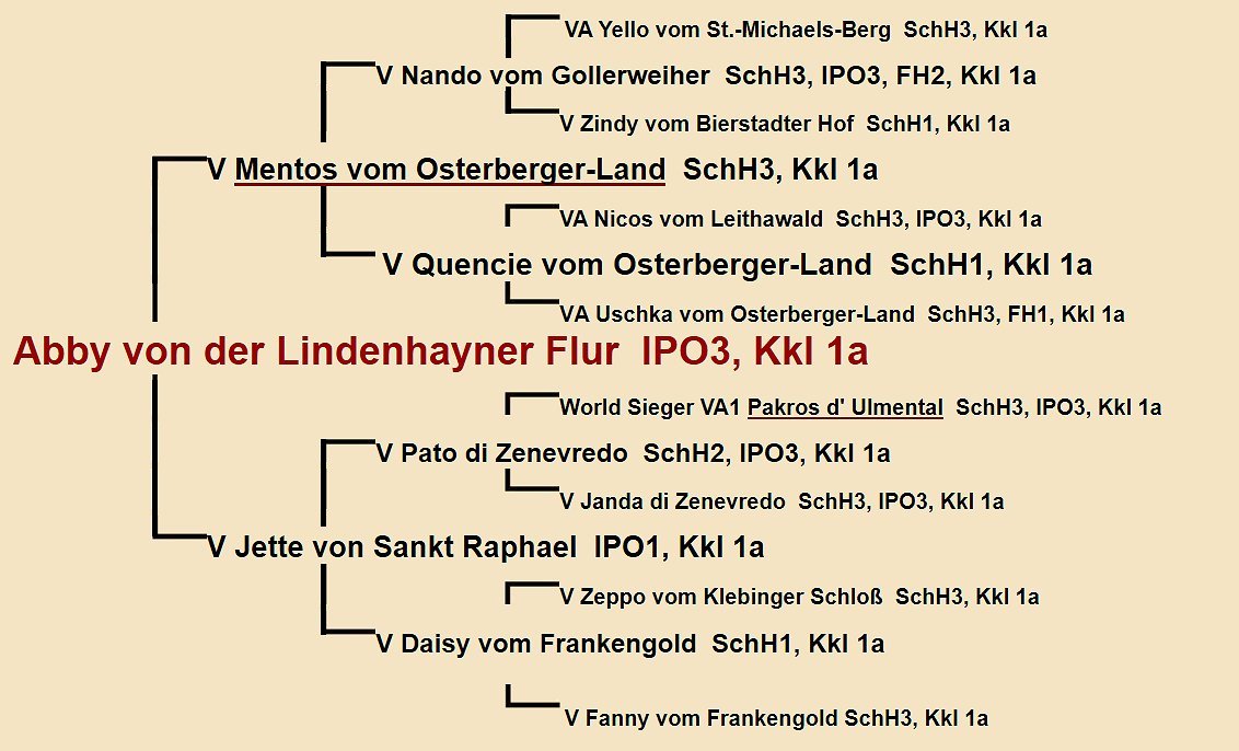 Ulena vom Fleischerheim Pedigree