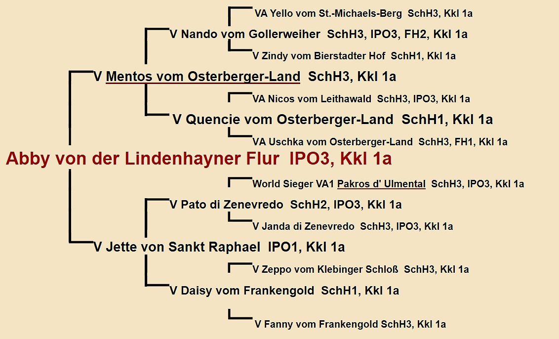 Janett vom St.Michaels-Berg Pedigree