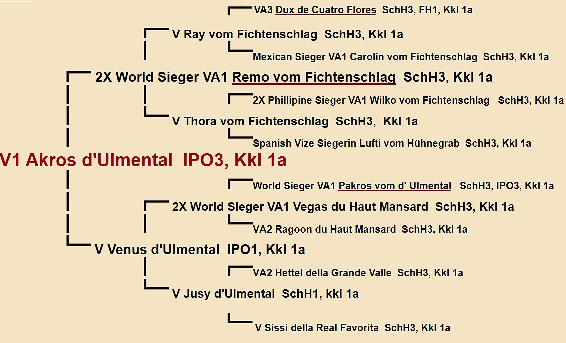 Pedigree of Akros d'Ulmetal IPO3 | Fleischerheim Imported Trained Protection German Shepherd Male Guard Dogs for sale