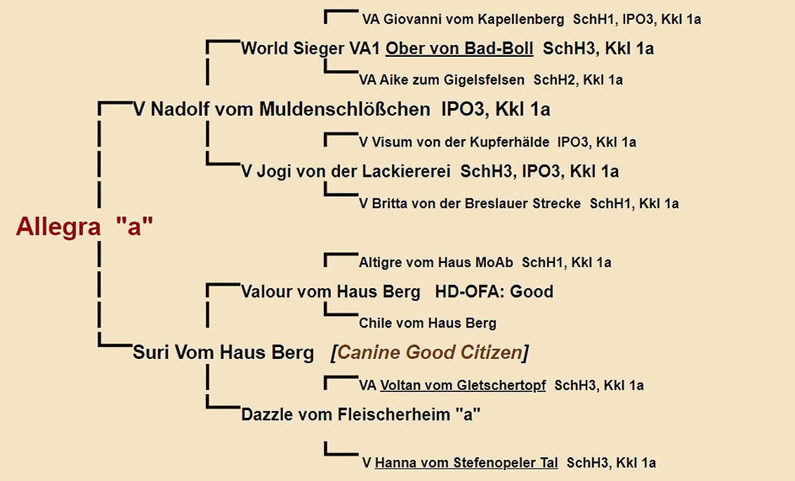 Allegra Pedigree