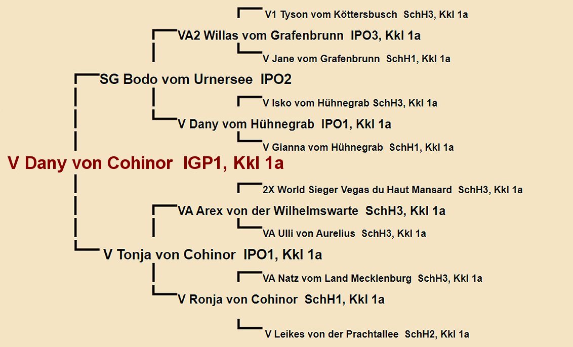 Dany von Cohinor Pedigree