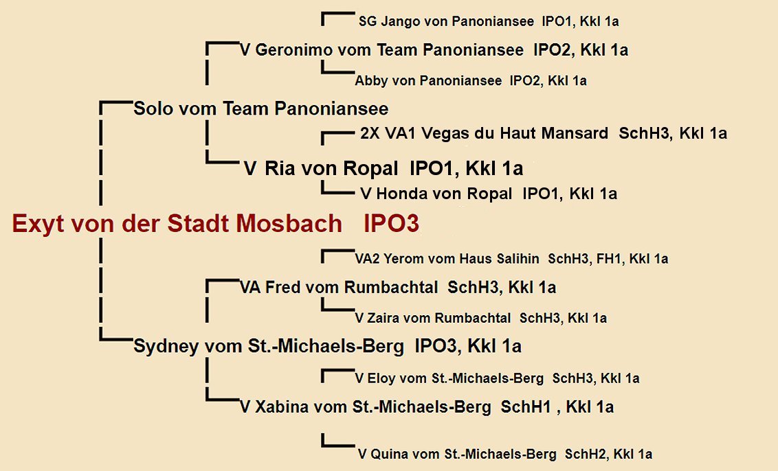 Exyt von der Stadt Mosbach Pedigree