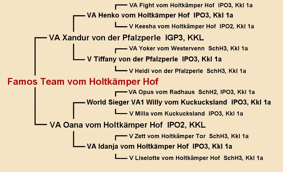 Pedigree of Famos Team vom Holtkamper Hof