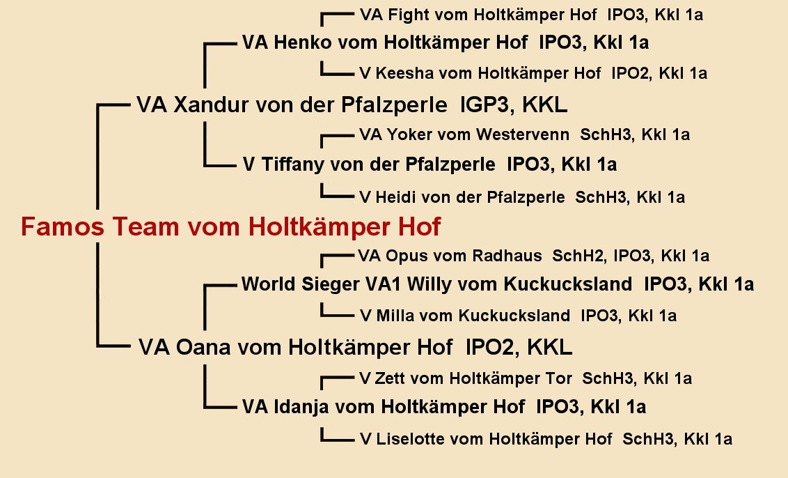 Pedigree of Famos Team vom Holtkamper Hof