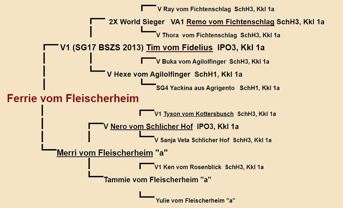 Ferrie vom Fleischerheim Pedigree