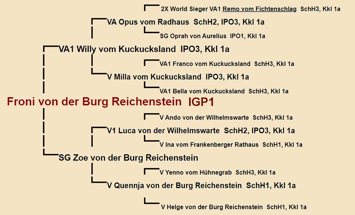 Froni von der Burg Reichenstein Pedigree