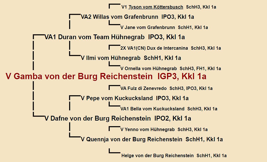 Gamba von der Burg Reichenstein Pedigree