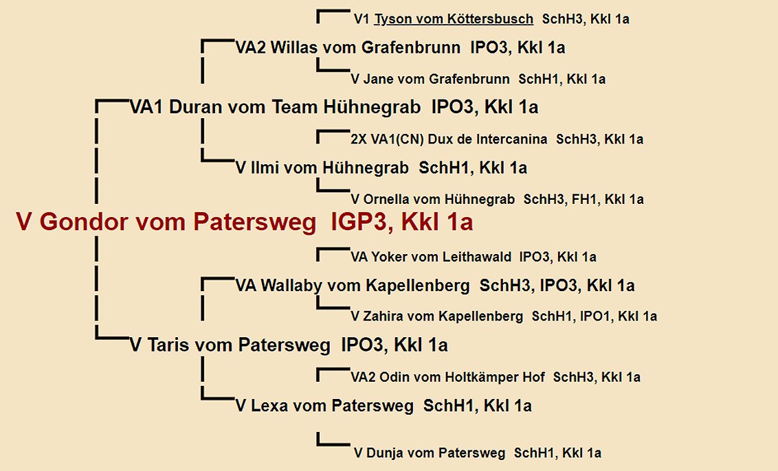 Gondor vom Patersweg IGP3 Pedigree