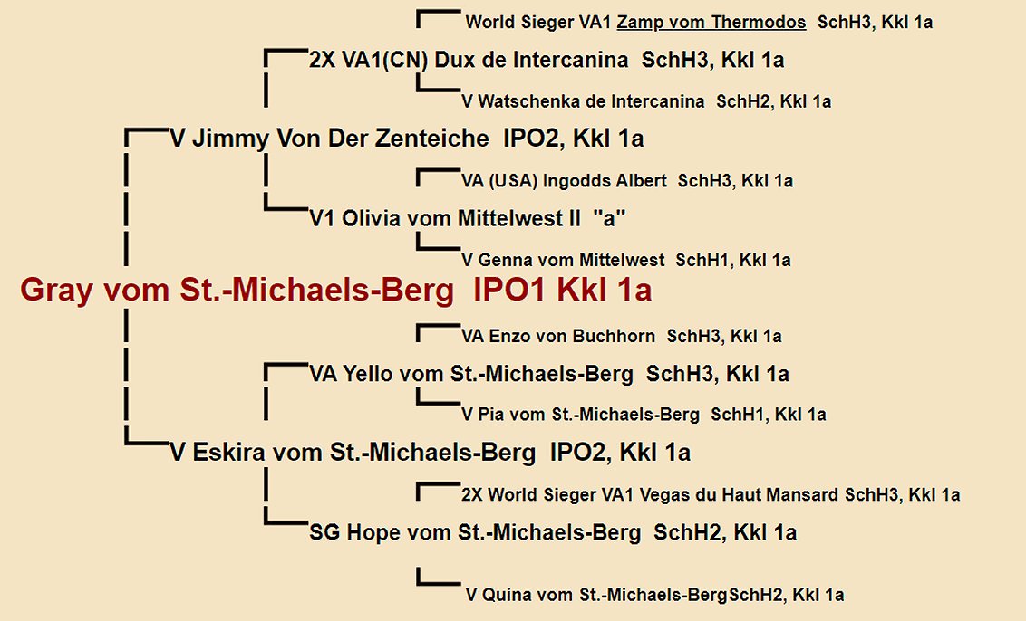 Gray vom St.-Michaels-Berg Pedigree