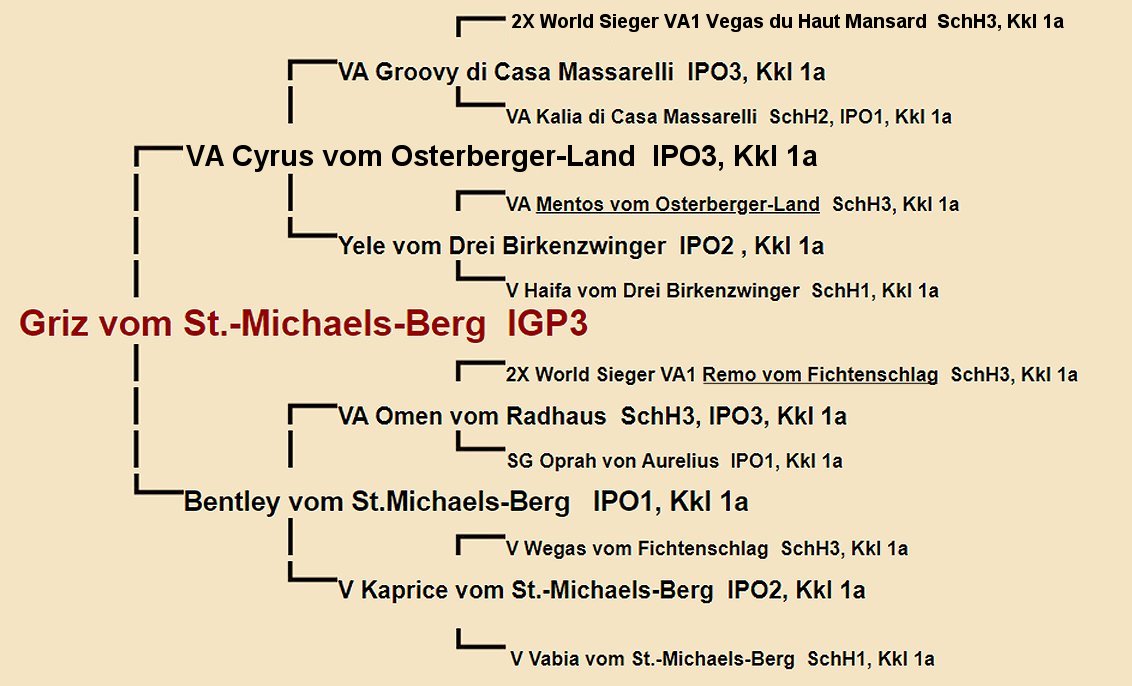 Pedigree of Griz vom St.-Michaels-Berg IGP3 | Fleischerheim Imported Trained Protection German Shepherd Male Guard Dogs for sale