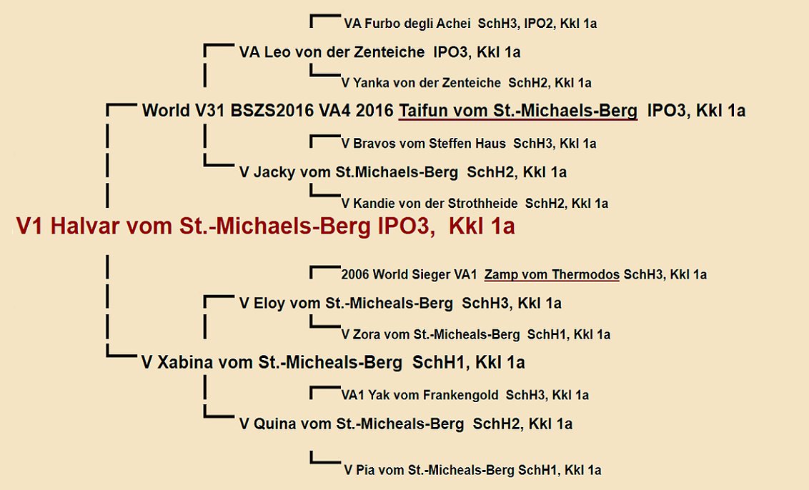 Pedigree of Halvar St-Michaels-Berg IGP3 | Fleischerheim Imported Trained Protection German Shepherd Male Guard Dogs for sale