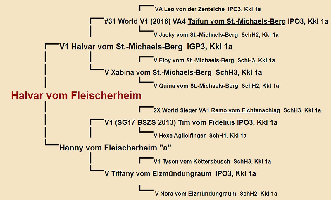 Halvar vom Fleischerheim Pedigree