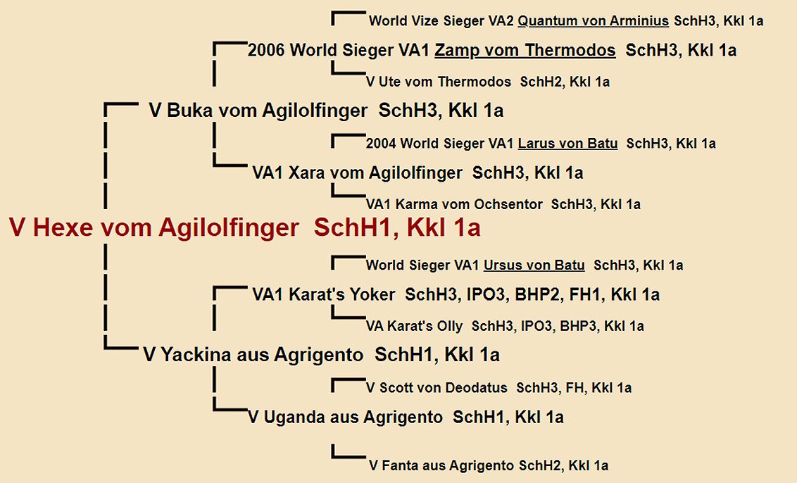 Hexe vom Agilolfinger Pedigree