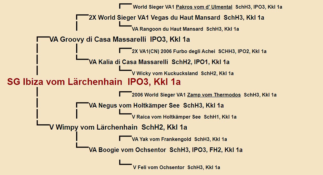 Ibiza vom L rchenhain Pedigree