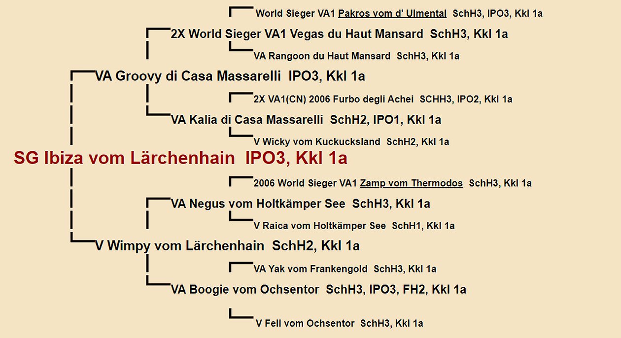 Ibiza vom Lrchenhain Pedigree