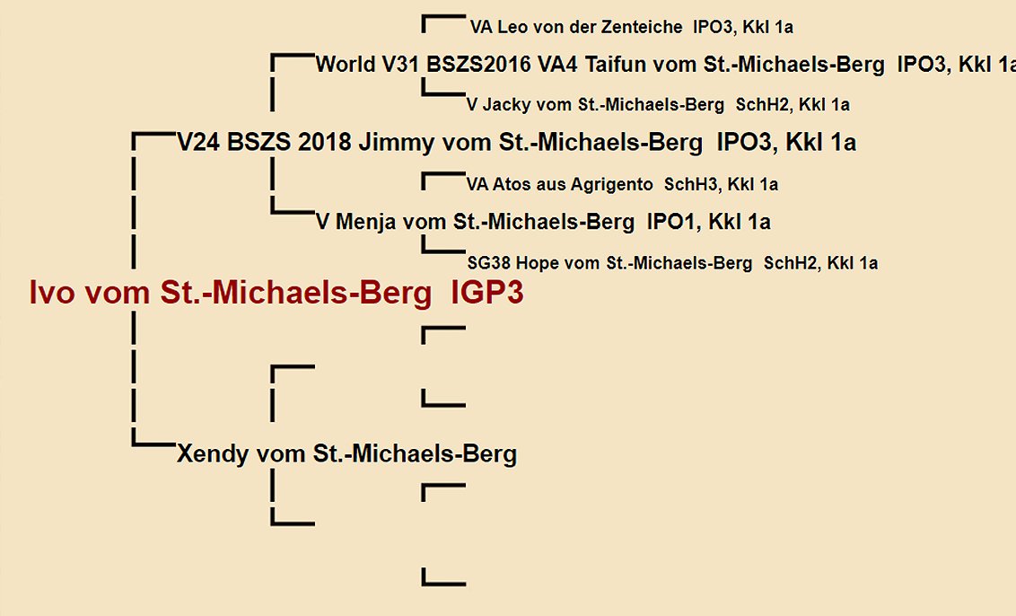 Pedigree of Ivo vom St.-Michaels-Berg IGP3 | Fleischerheim Imported Trained Protection German Shepherd Male Guard Dogs for sale