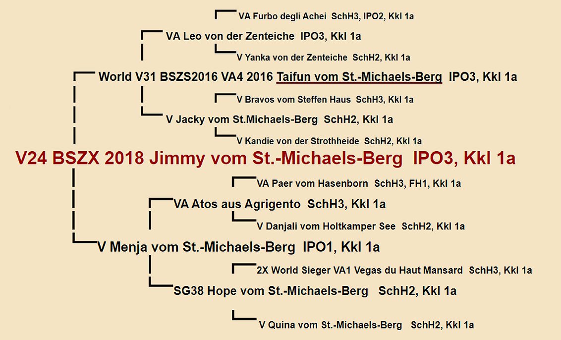 Pedigree of Jimmy vom St.-Michaels-Berg IPO3 | Fleischerheim Imported Trained Protection German Shepherd Male Guard Dogs for sale