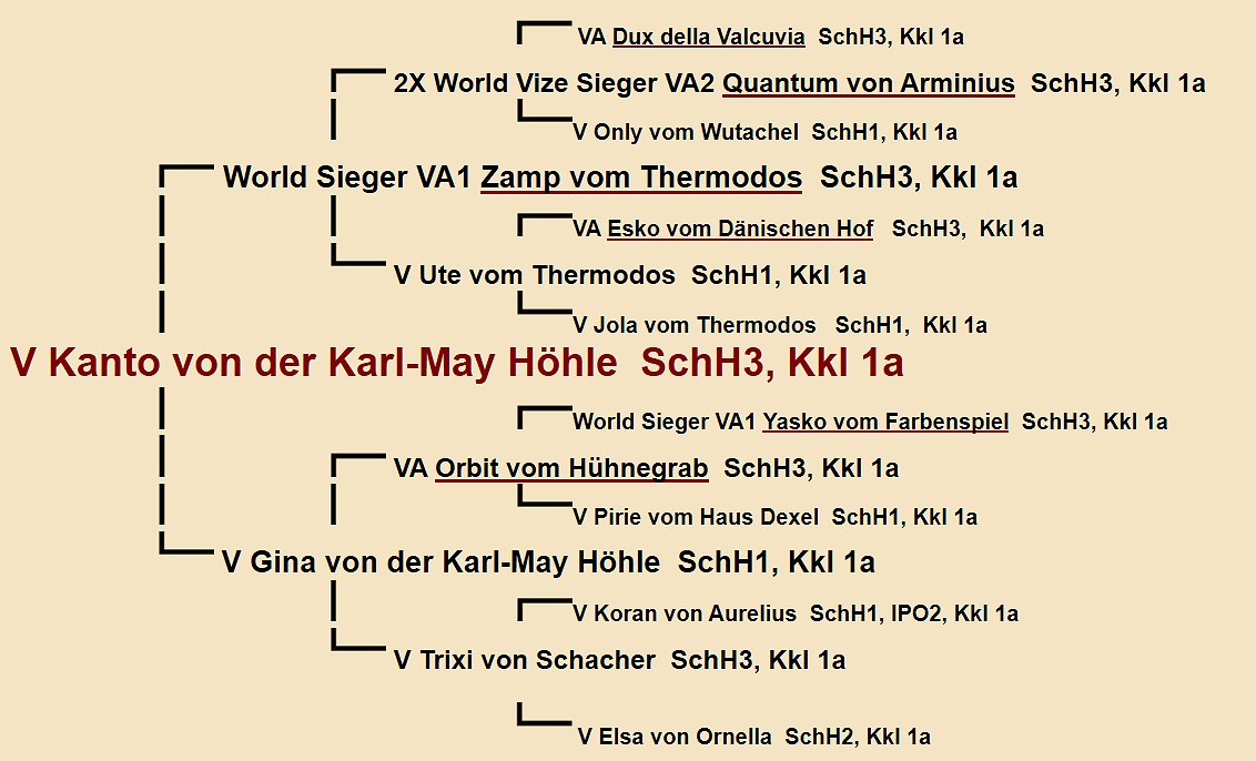 Kanto von der Karl-May Hohle Pedigree