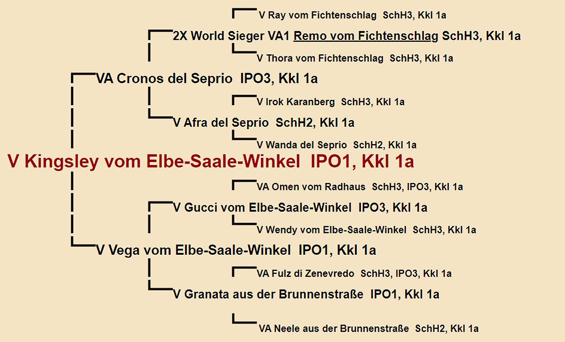 Kingsley vom Elbe-Saale-Winkel Pedigree