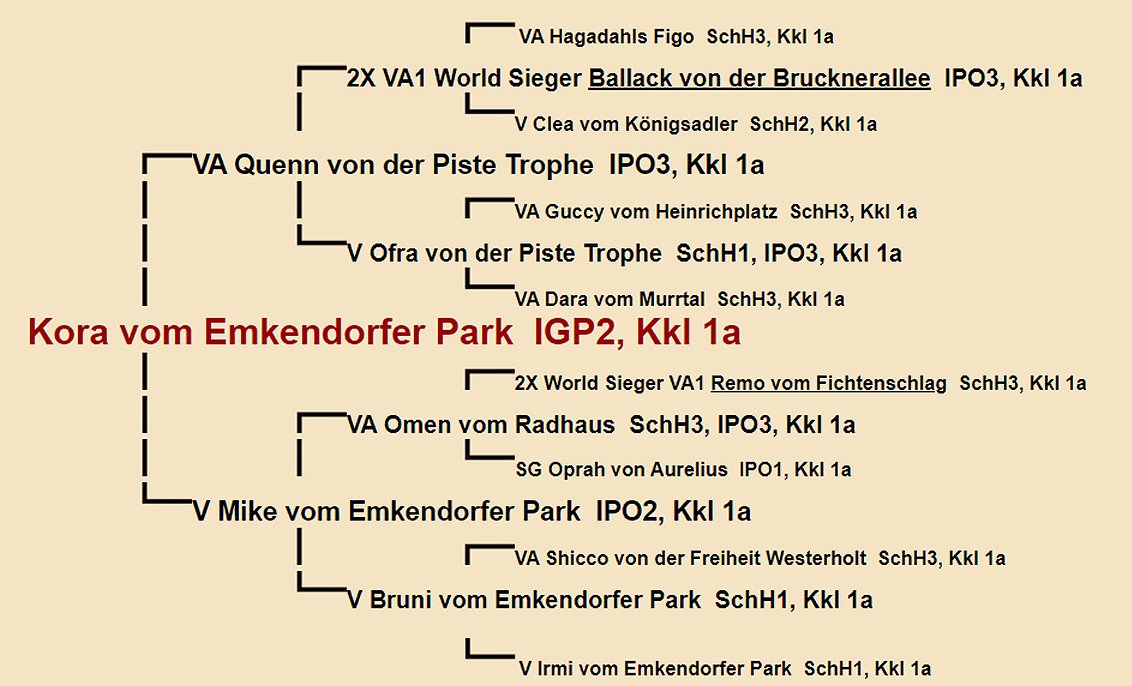 Kora vom Emkendorfer Park Pedigree