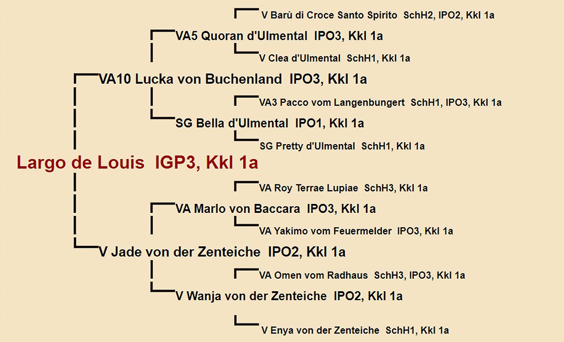 Pedigree of Largo de Louis IGP3 | Fleischerheim Imported Trained Protection German Shepherd Male Guard Dogs for sale