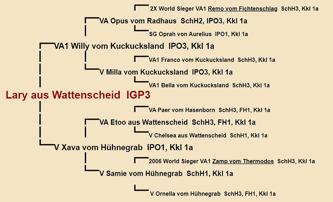 Lary aus Wattenscheid  Pedigree