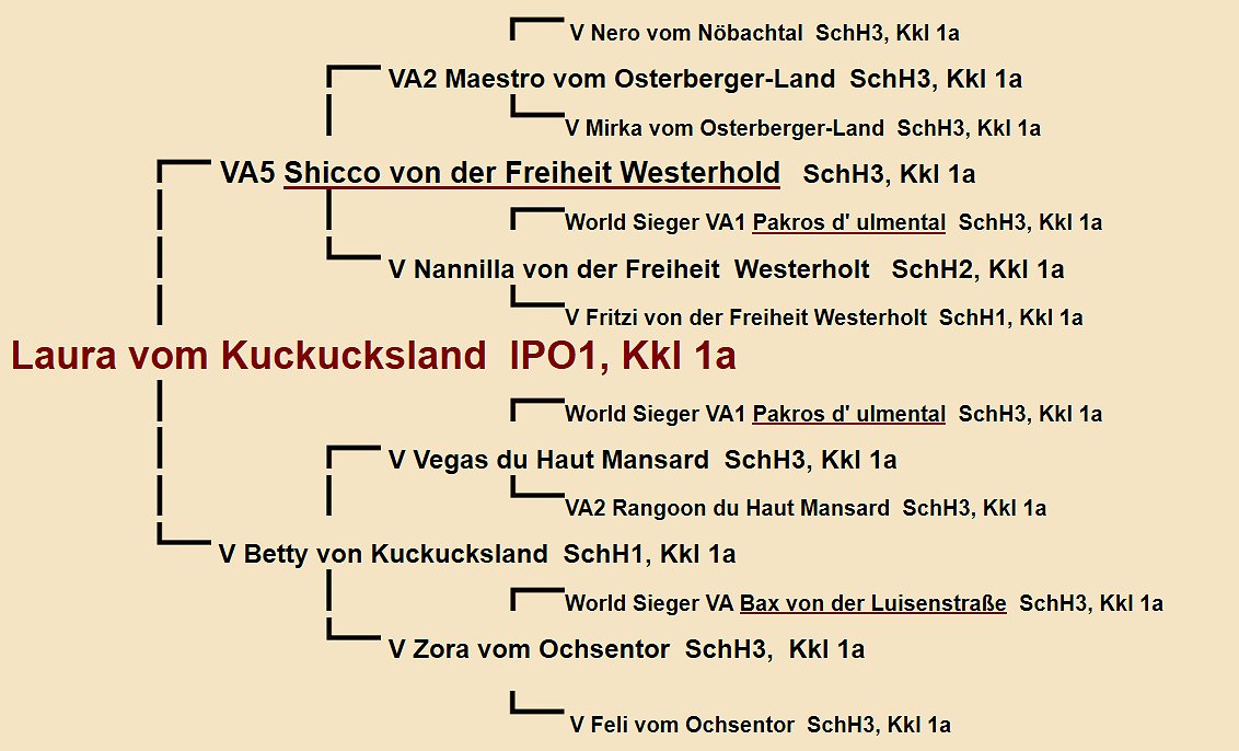 Laura vom Kuckucksland Pedigree