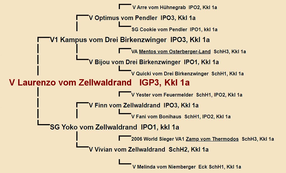 Laurenzo vom Zellwaldrand Pedigree