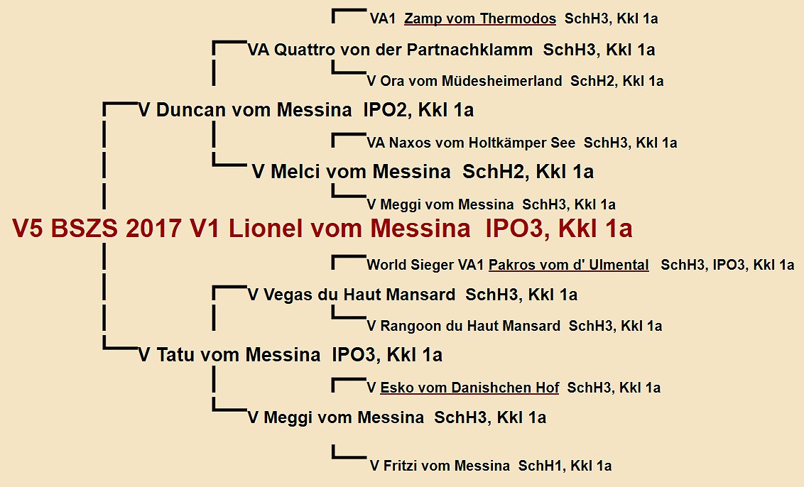 Pedigree of Lionel vom Messina IPO3 | Fleischerheim Imported Trained Protection German Shepherd Male Guard Dogs for sale