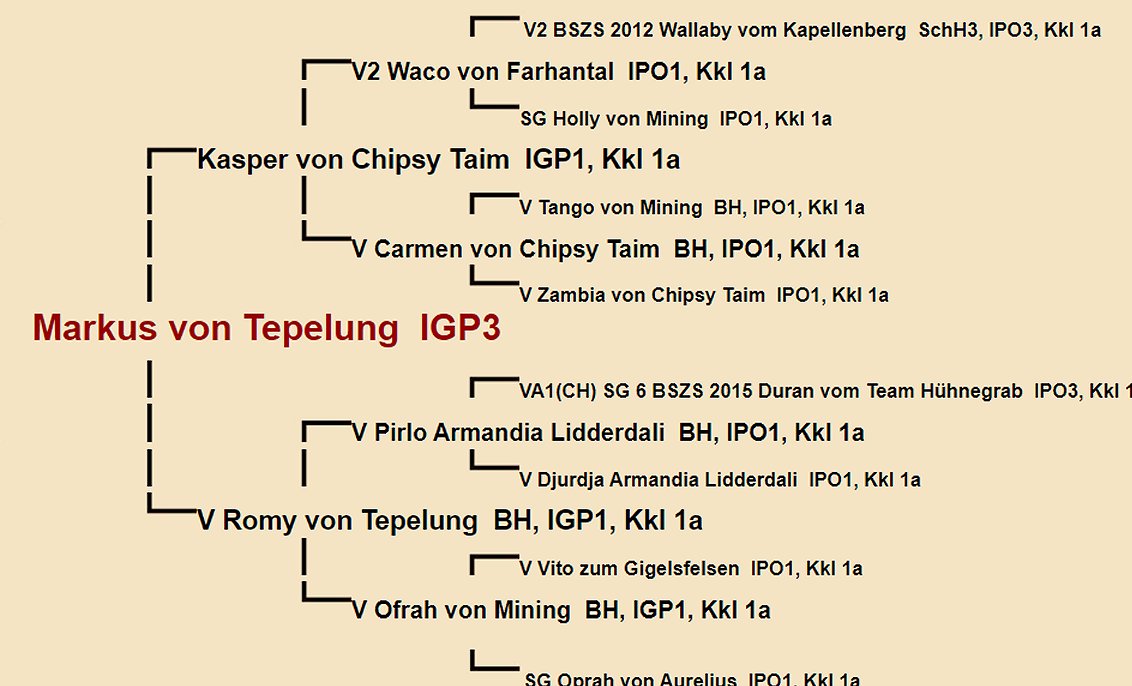 Markus von Tepelung Pedigree