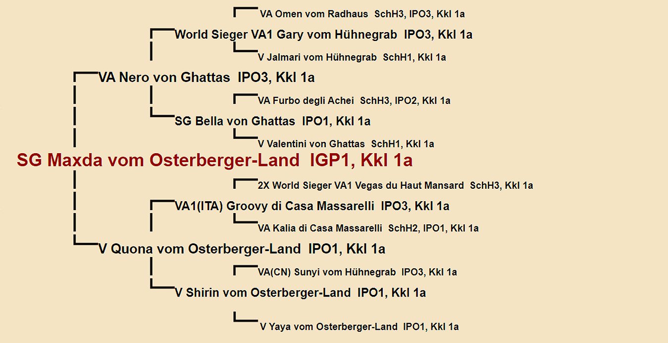 Maxda vom Osterberger-Land Pedigree