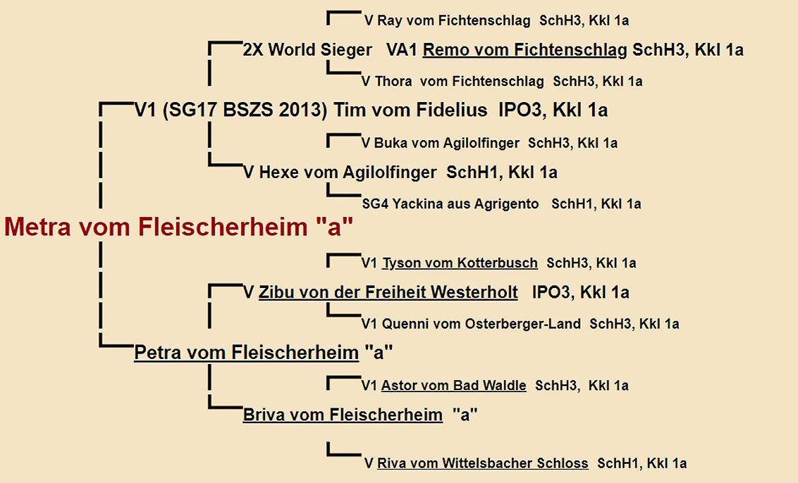 Metra vom Fleischerheim Pedigree