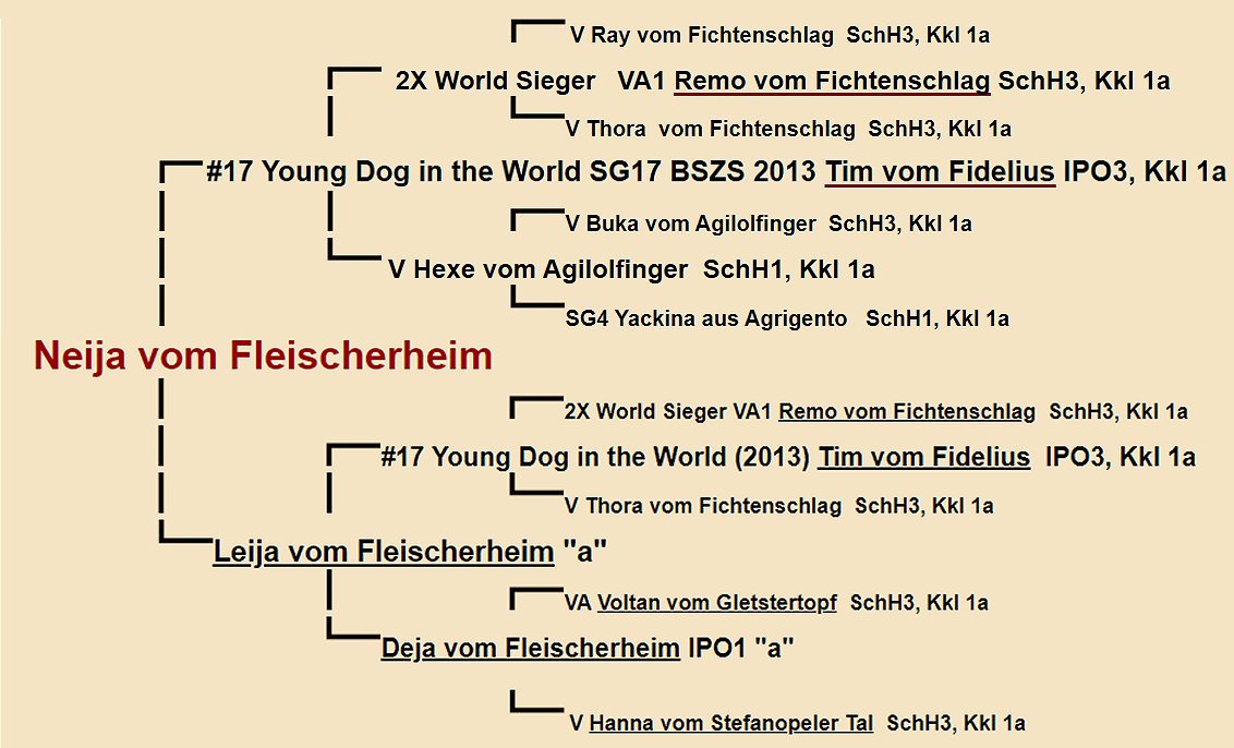 Neija vom Fleischerheim Pedigree