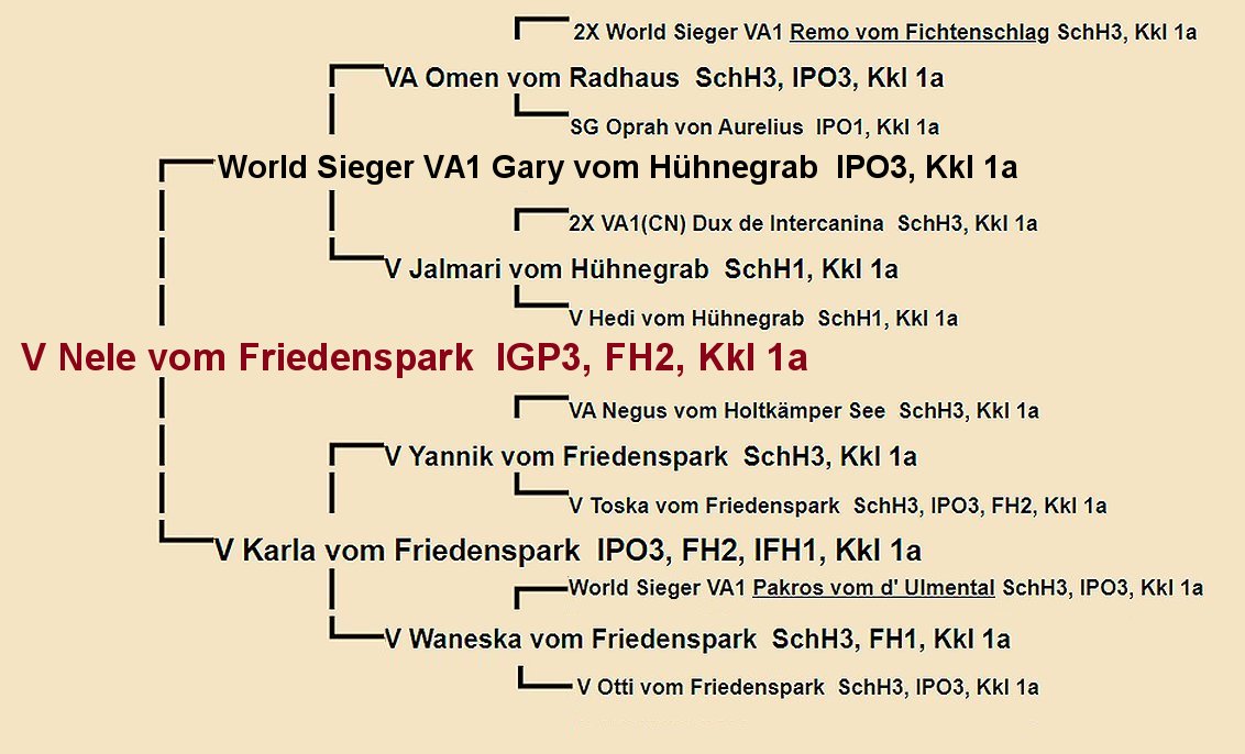 Nele vom Friedenspark Pedigree