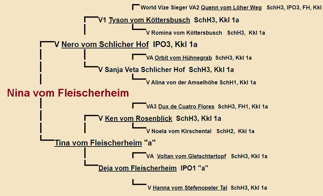 Nina vom Fleischerheim Pedigree