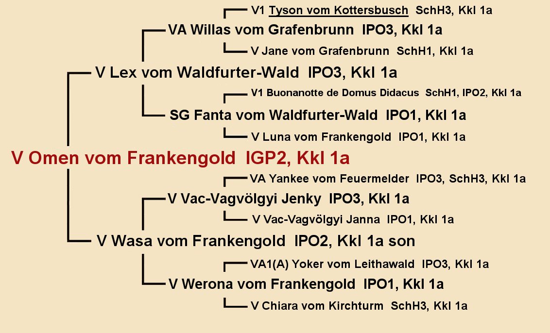V Omen vom Frankengold IGP2 Pedigree