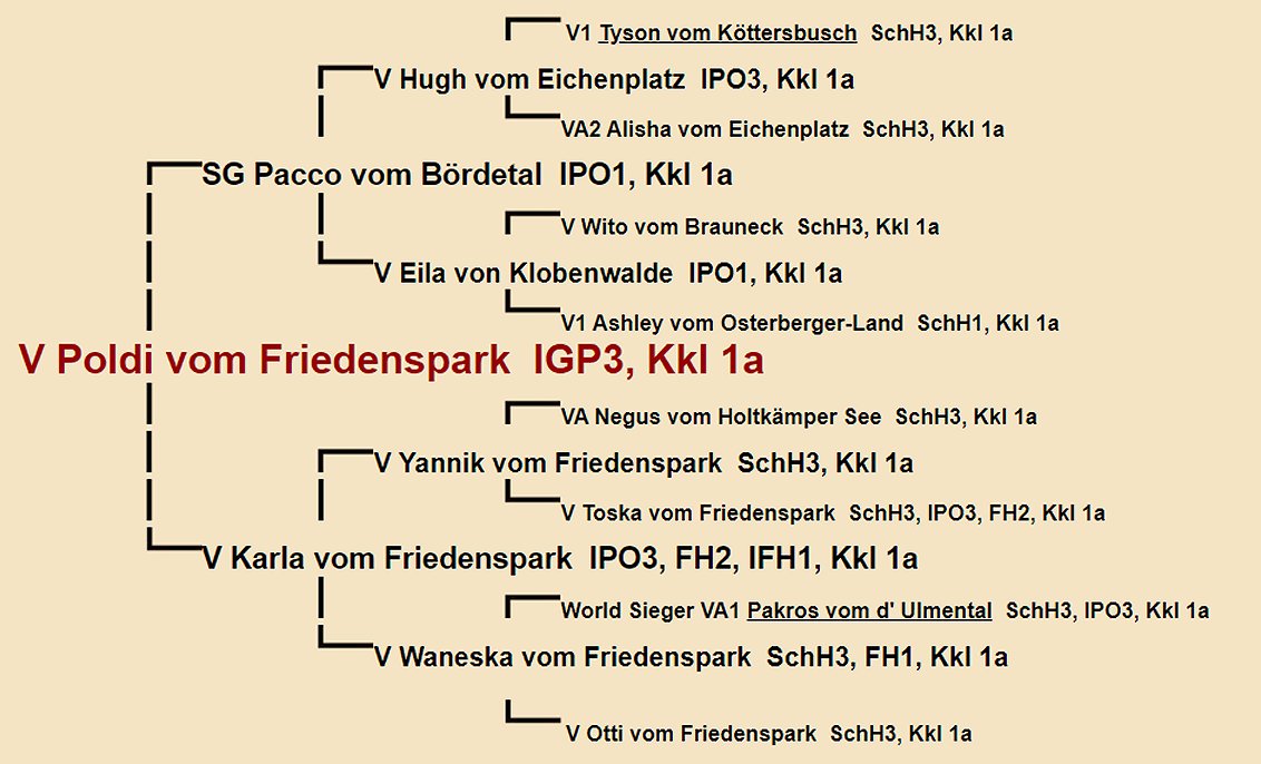 Poldi vom Friedenspark Pedigree