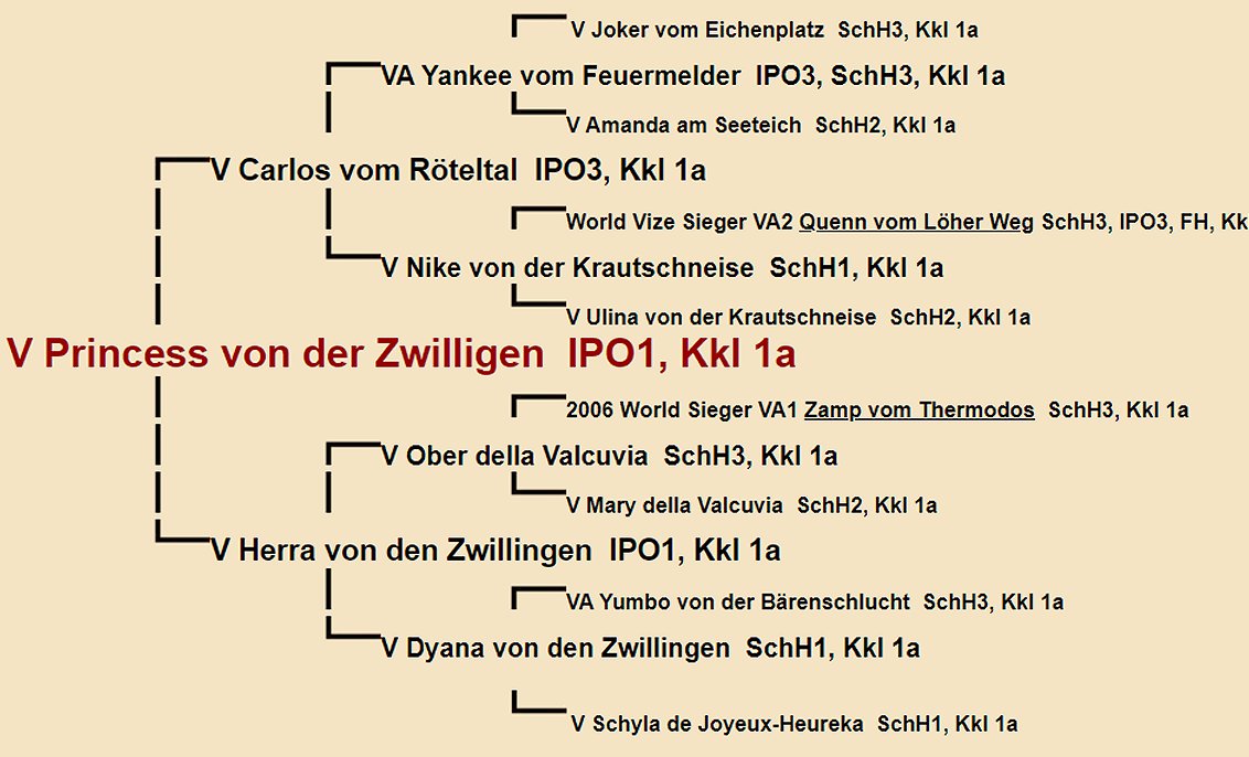 Princess von der Zwilligen Pedigree