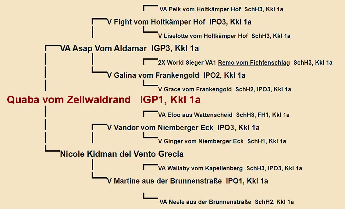 Quaba vom Zellwaldrand Pedigree