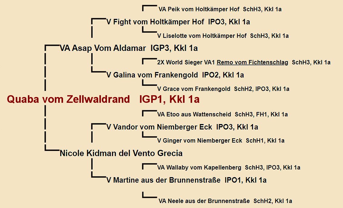 Quaba vom Zellwaldrand Pedigree