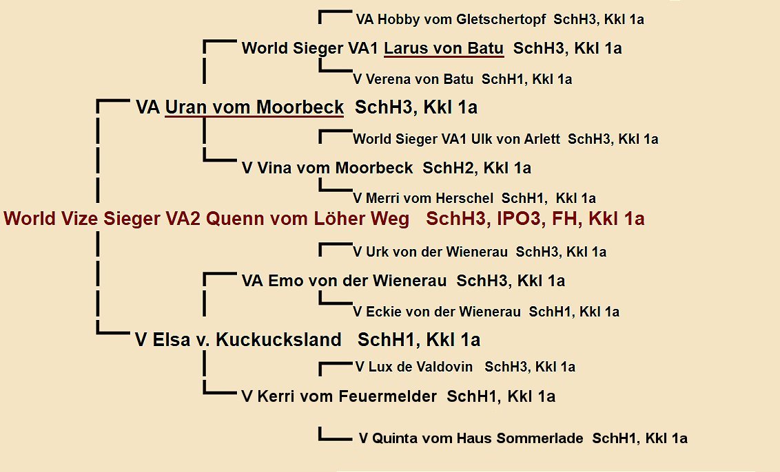 Quenn vom Loher Weg Pedigree