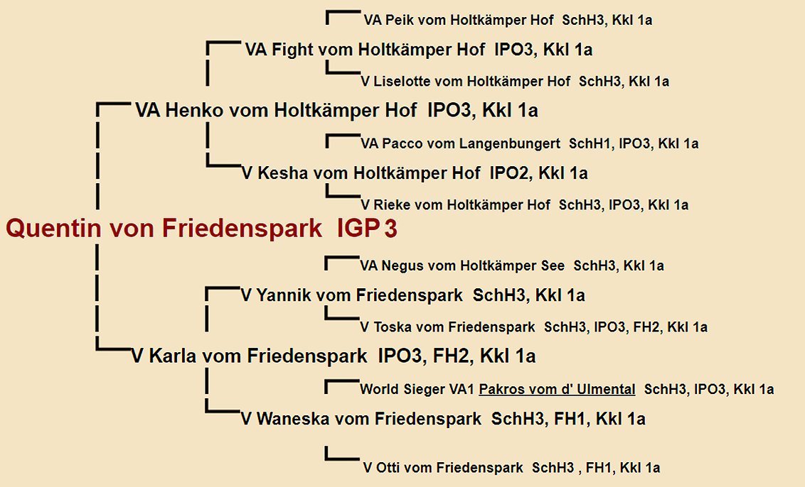 Quentin von Friedenspark Pedigree