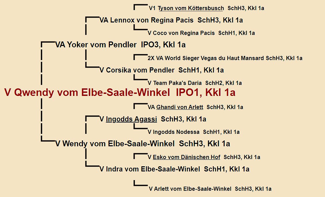 Qwendy vom Elbe-Saale-Winkel Pedigree