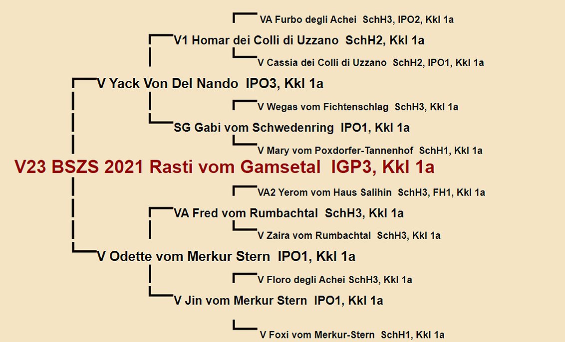 Rasti vom Gamsetal Pedigree