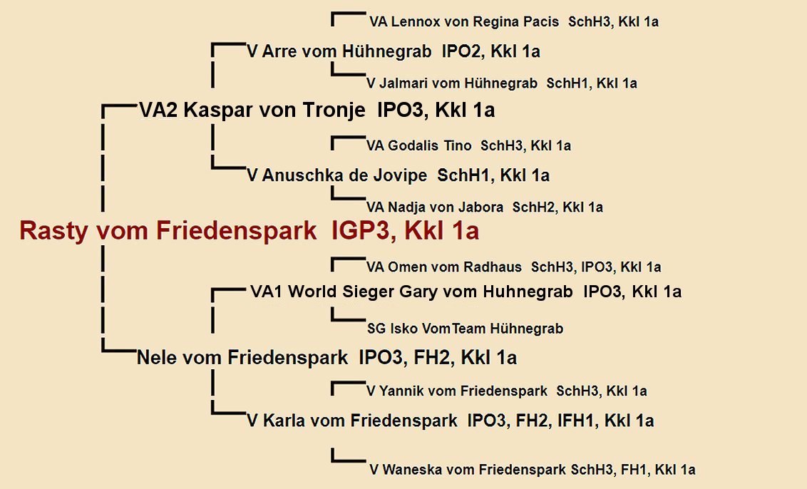 Pedigree of Rasty vom Friedenspark IGP3 | Fleischerheim Imported Trained Protection German Shepherd Male Guard Dogs for sale