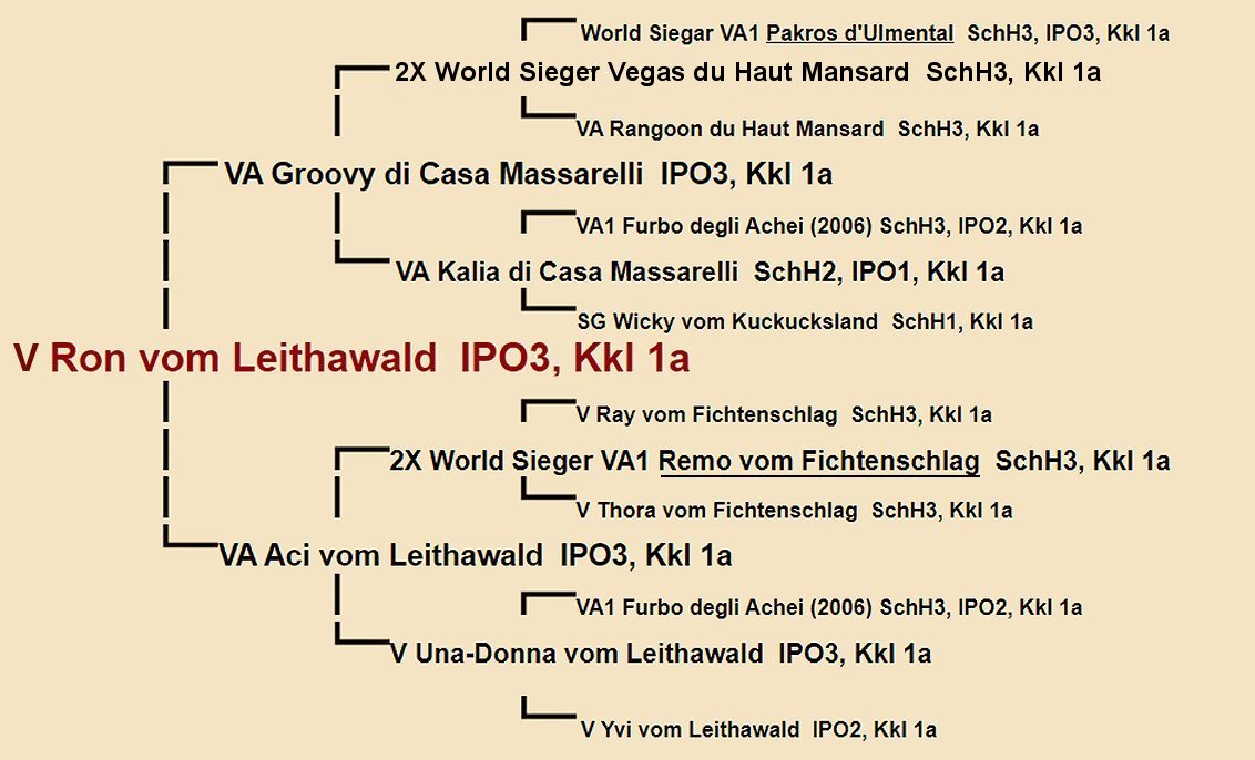 Ron vom Leithawald Pedigree