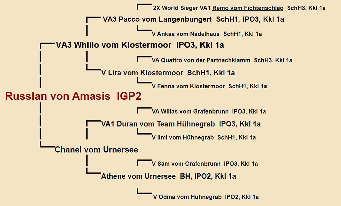 Russlan von Amasis Pedigree